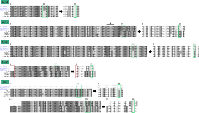 Figure 4—figure supplement 3.