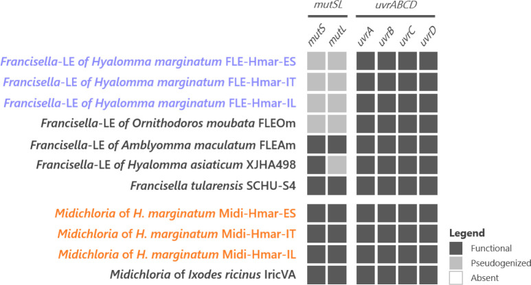 Figure 4—figure supplement 2.