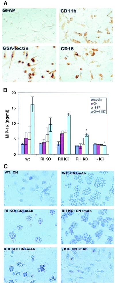 FIG. 4.