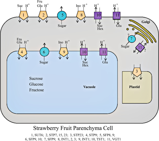 Fig. 10