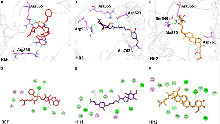FIGURE 6