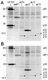 FIG. 6.