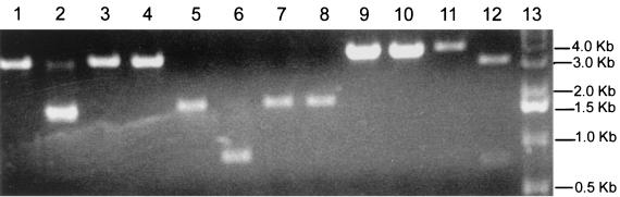 FIG. 7.