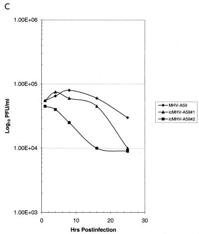 FIG. 5.