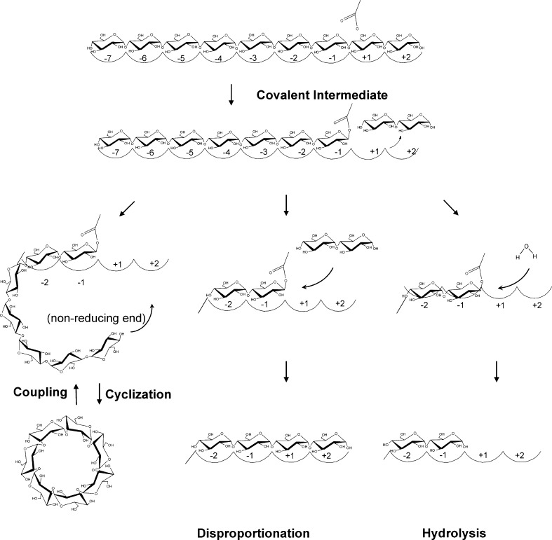 Fig. 1