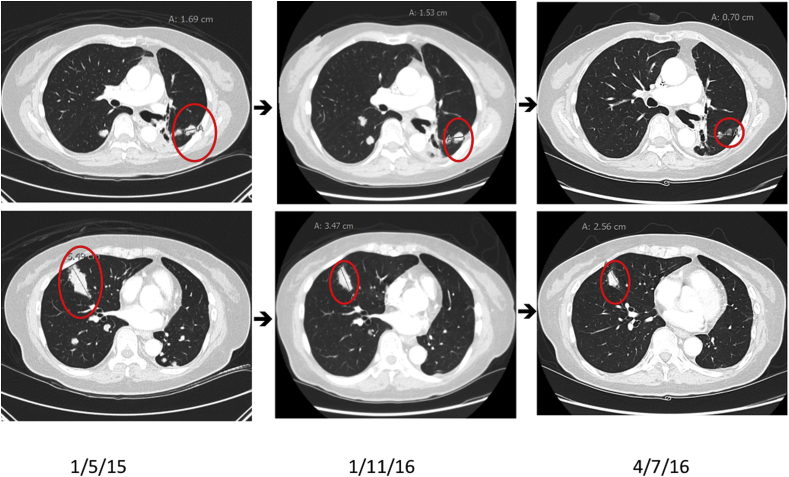 Fig. 2