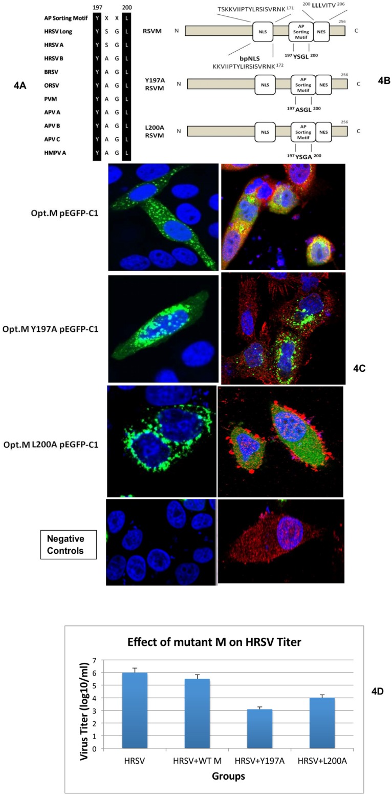 Fig 4