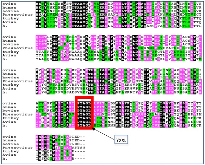 Fig 3