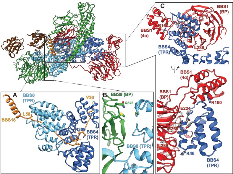 Figure 5.