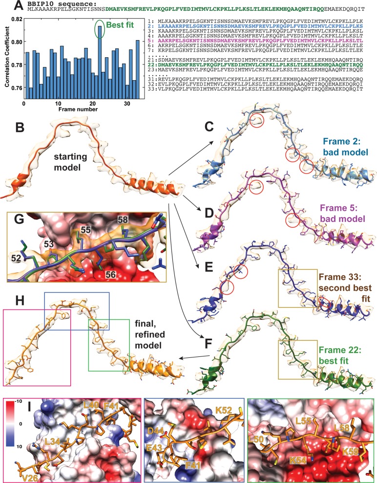 Figure 1—figure supplement 4.