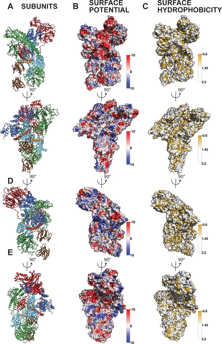 Figure 1—figure supplement 6.