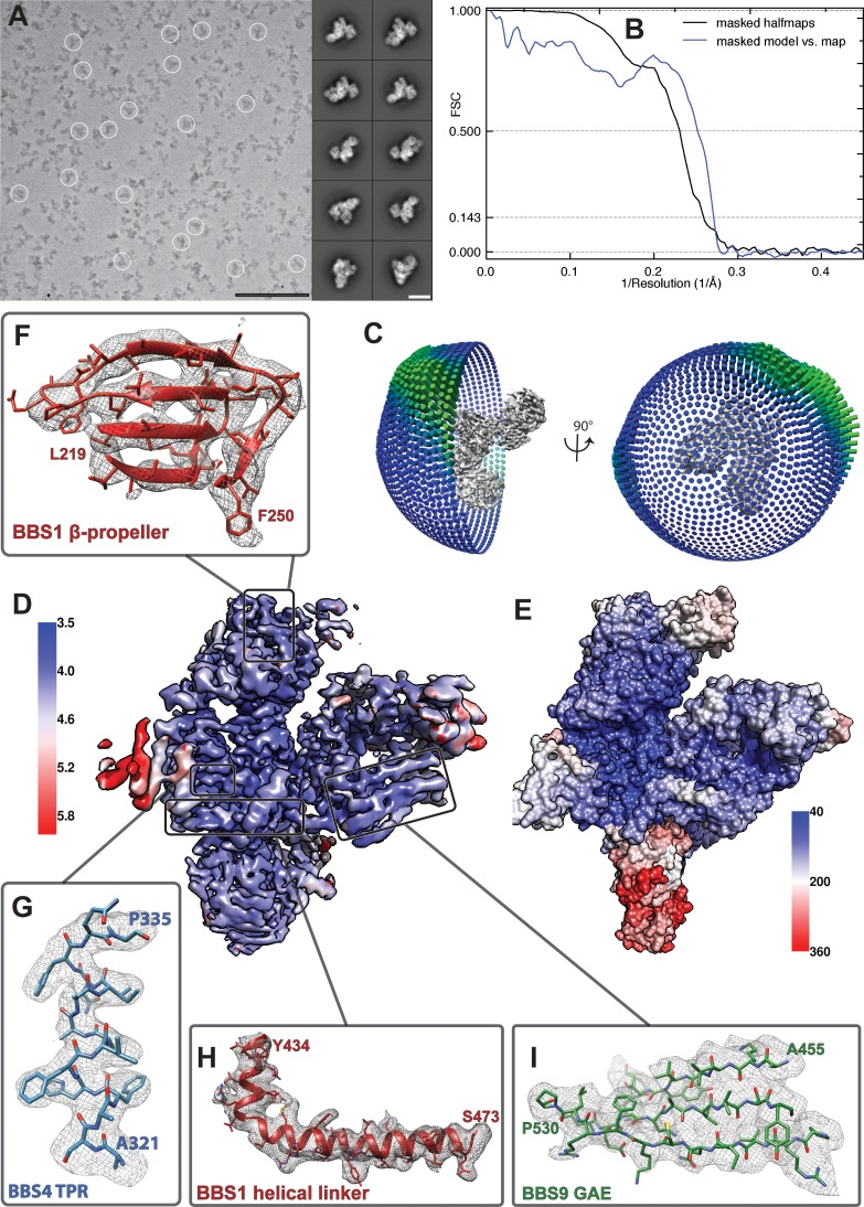 Figure 1—figure supplement 2.