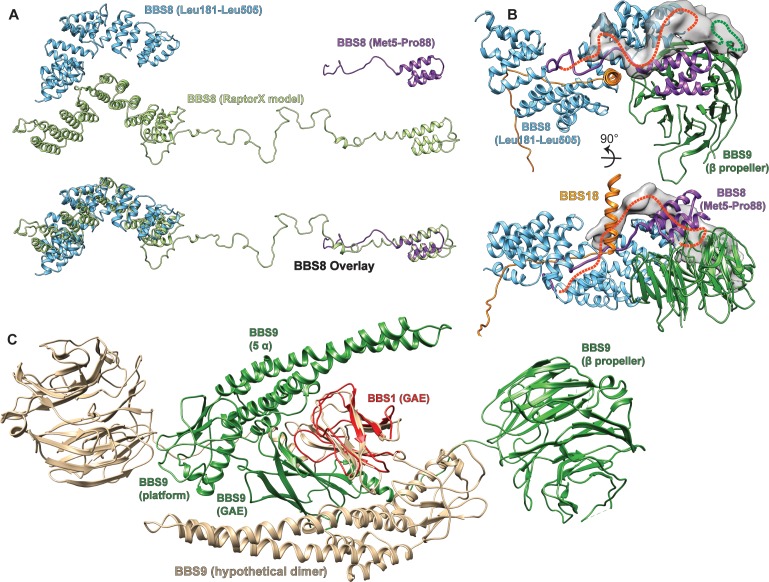 Figure 1—figure supplement 5.