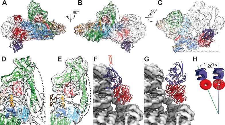 Figure 7—figure supplement 1.