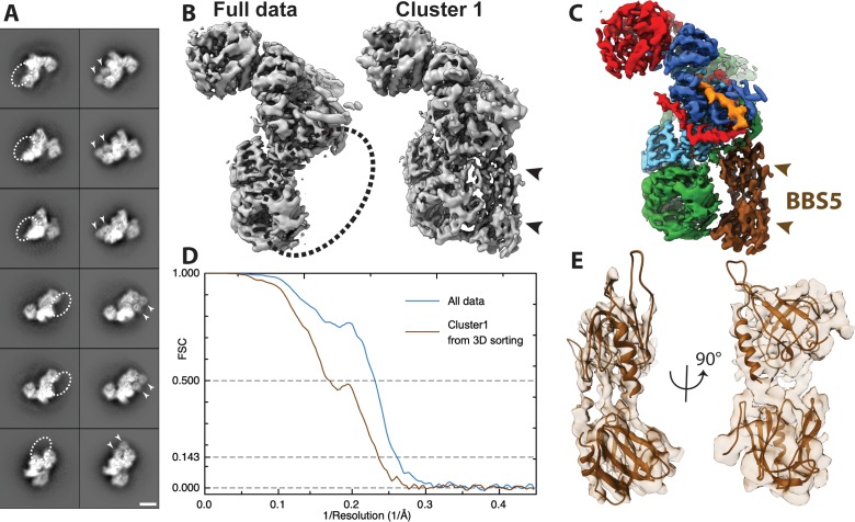 Figure 1—figure supplement 1.