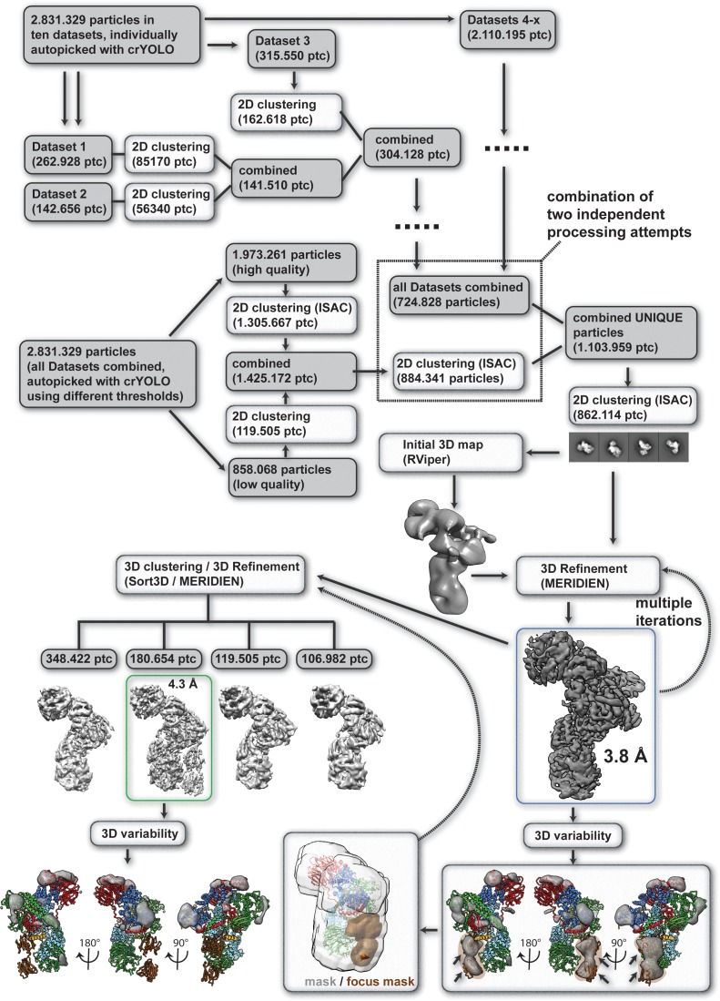 Figure 1—figure supplement 3.