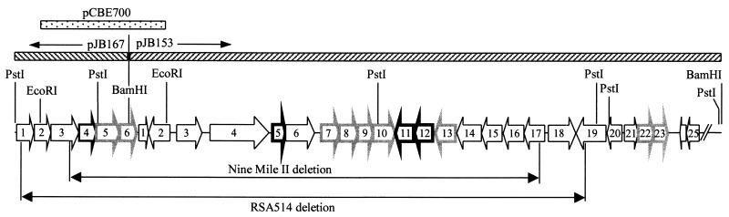 FIG. 1.