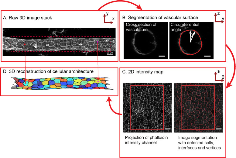 FIGURE 2: