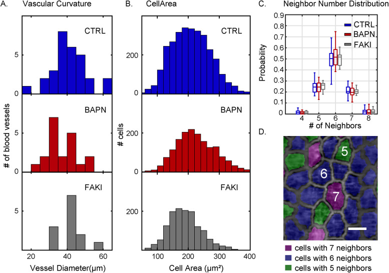 FIGURE 3: