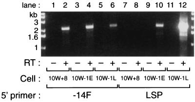 FIG. 5