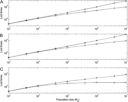 Figure 7.—