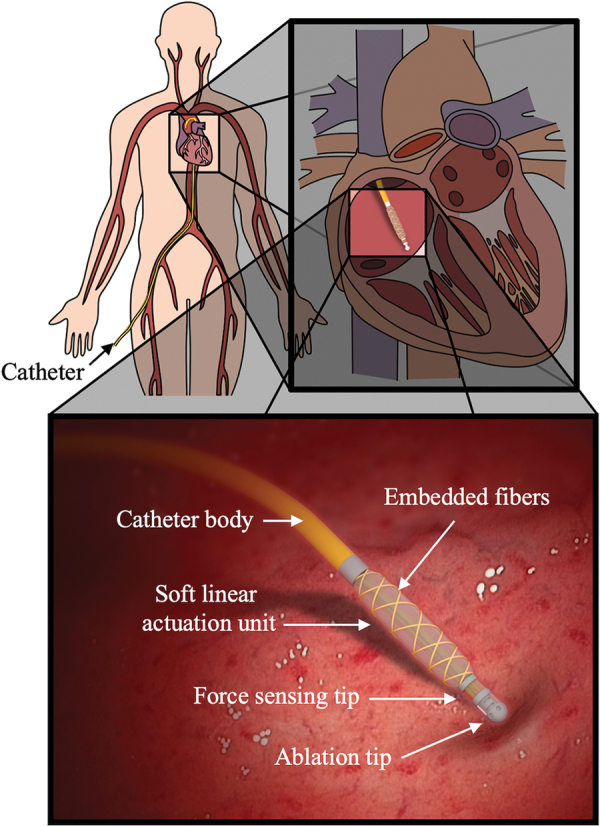 FIG. 1.