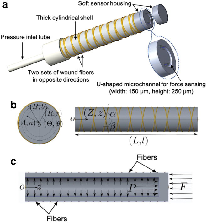 FIG. 2.