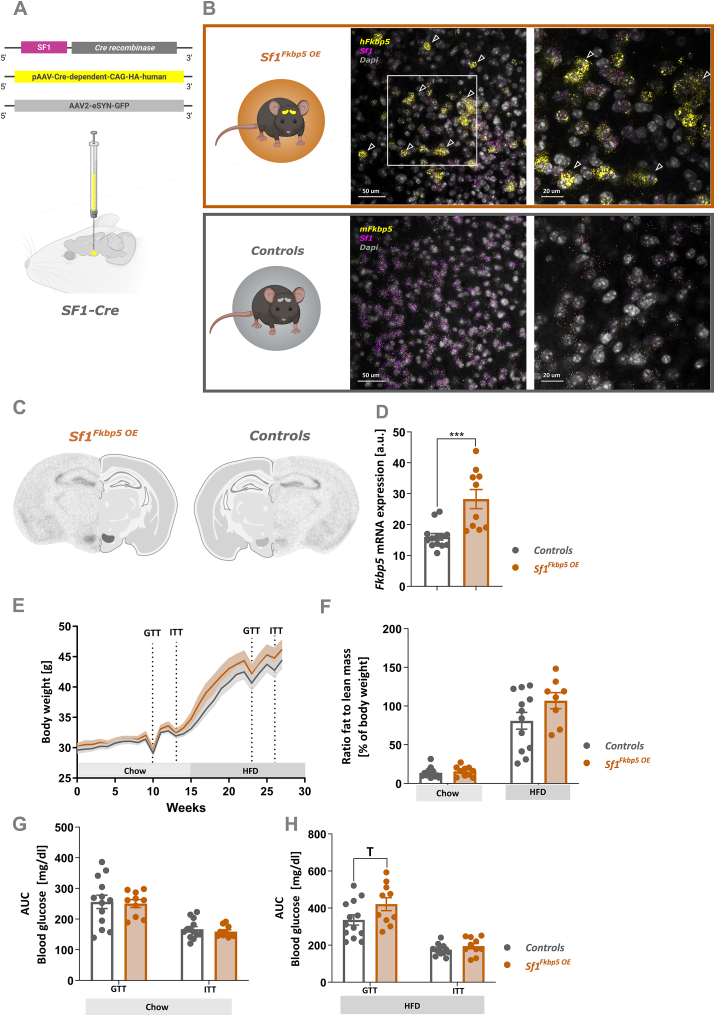 Figure 3