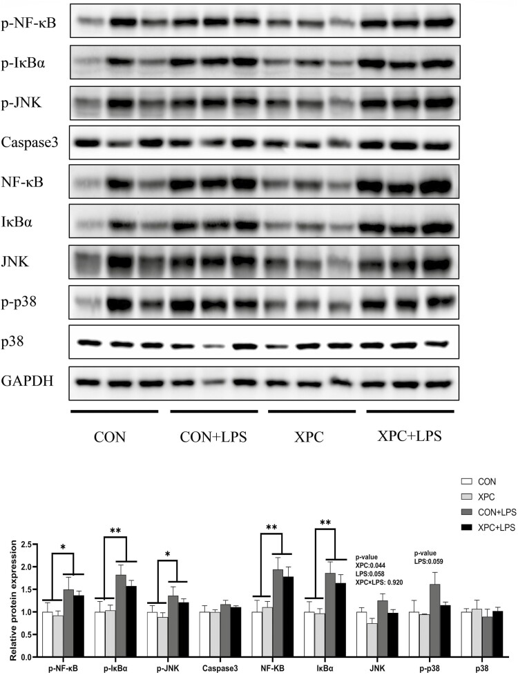 Figure 4.