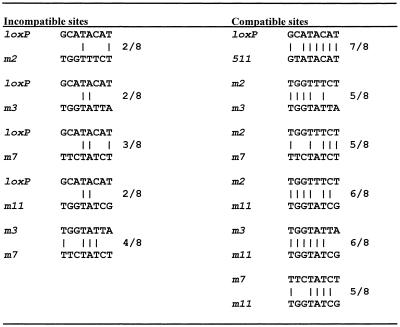 graphic file with name gkf421t2.jpg