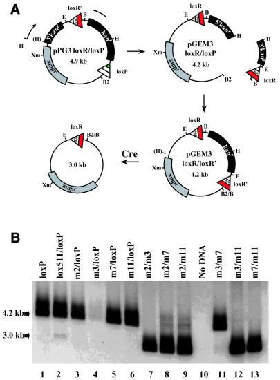 Figure 5