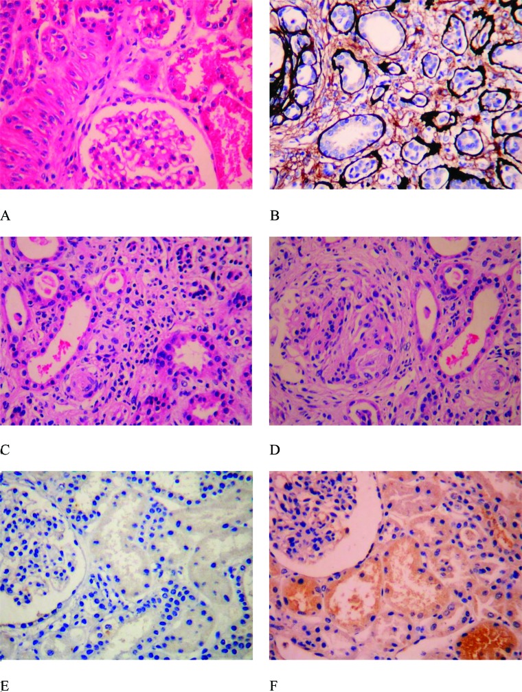 Supplementary Figure 1