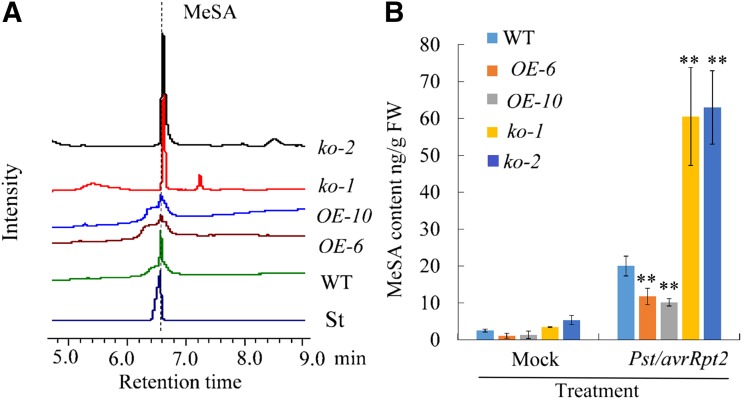 Figure 6.