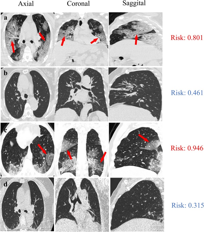 Fig. 5