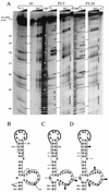 FIG. 4.