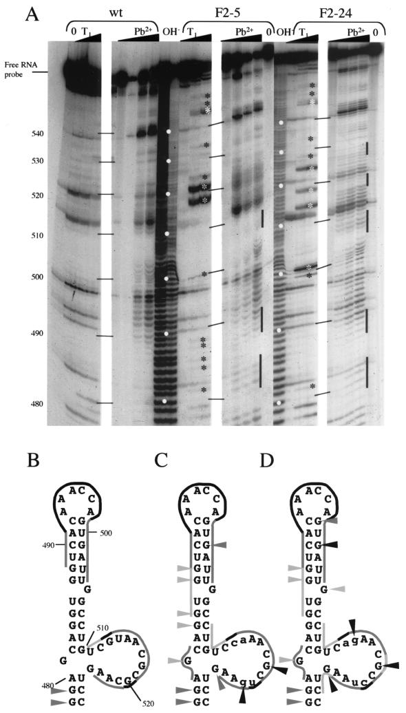 FIG. 4.