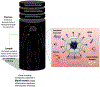 Fig. 2.