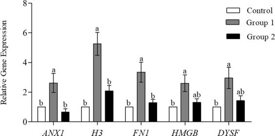 Figure 2