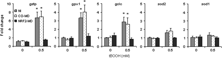 FIG. 6.