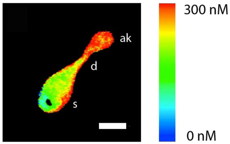 Fig. 3