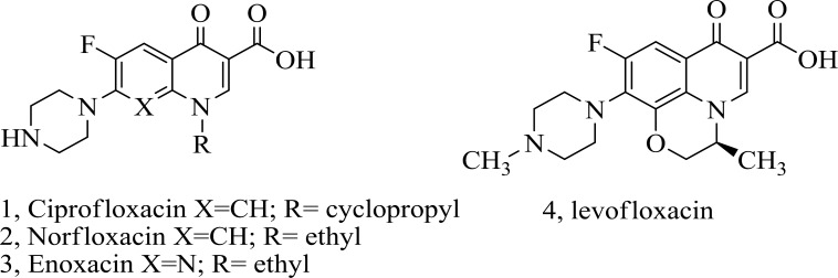 Figure1