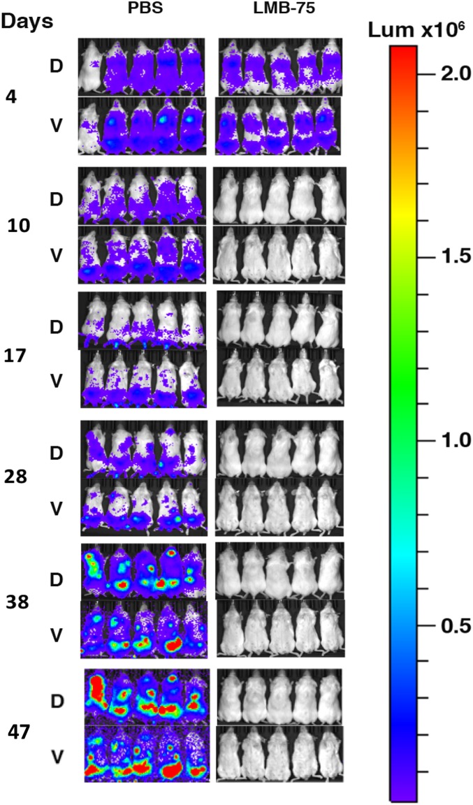 Fig. 3.