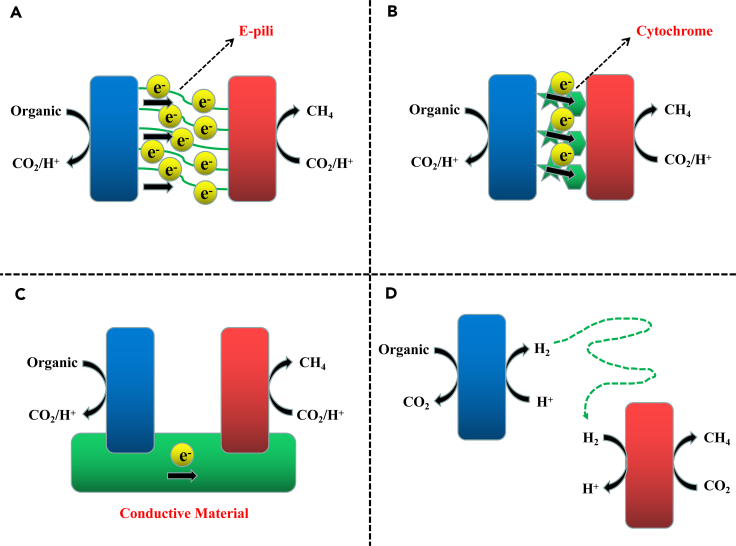 Figure 2