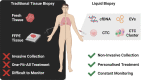 Graphical Abstract