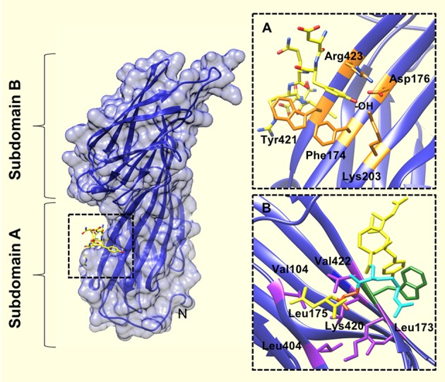 Figure 2