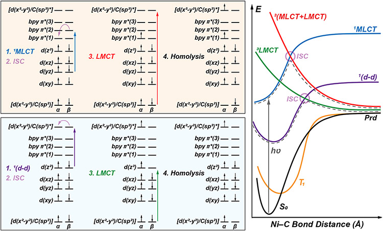 Figure 10.