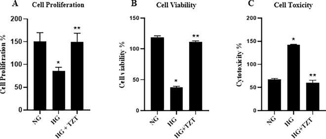Fig. 5