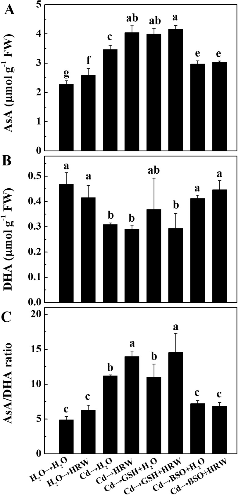 Fig 9