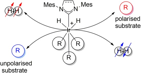 Scheme 2