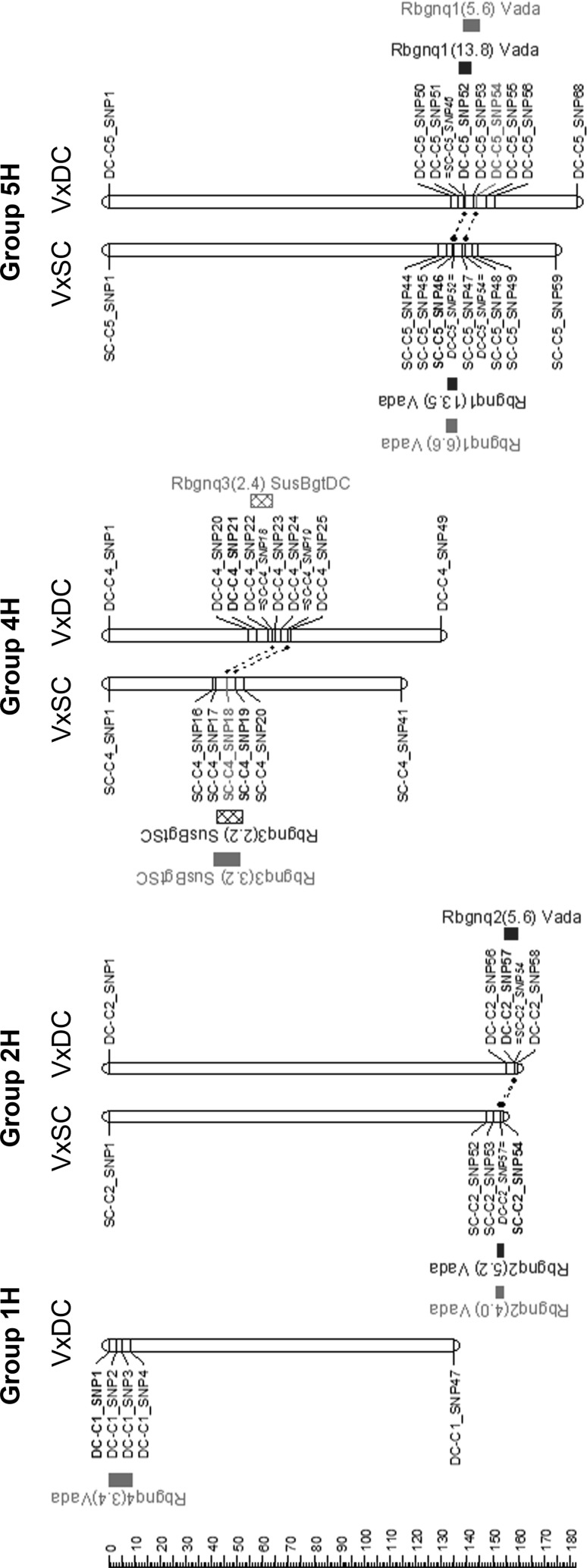 Fig. 2